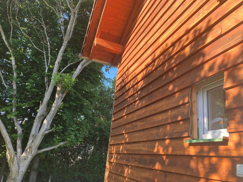 Tu Casa Chiemsee photo 4