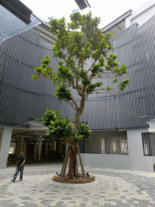 Cozy Sky Trees Bukit Indah Netflix and Amenities B06 photo 1
