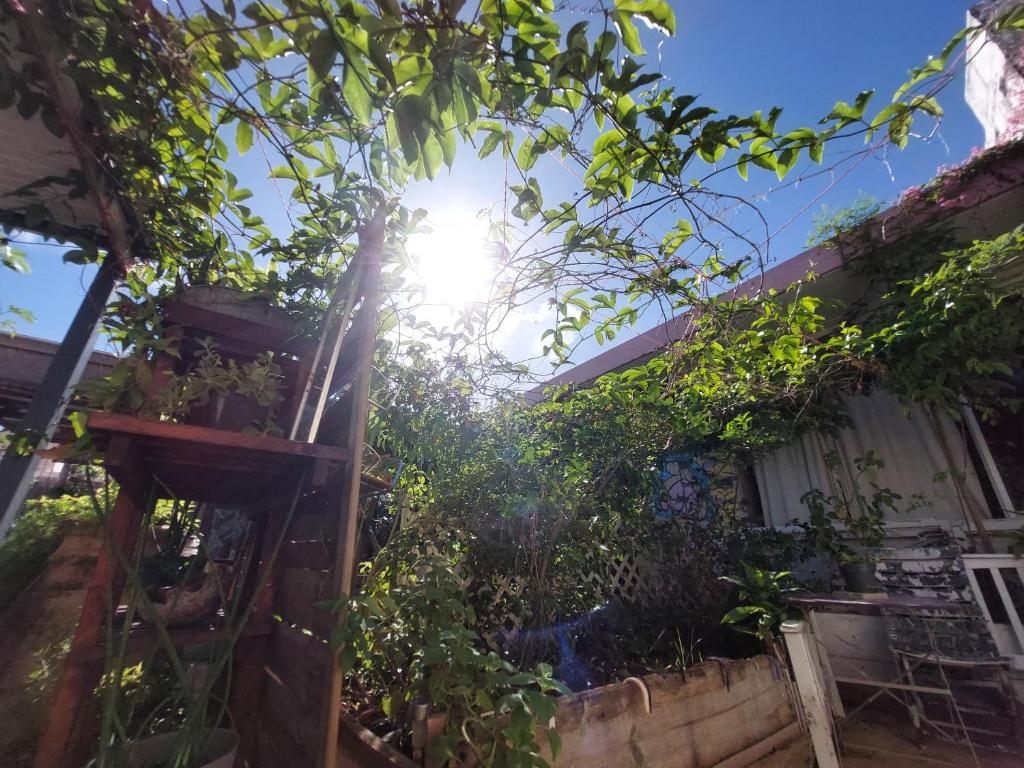 The GREEN Hostel photo 4