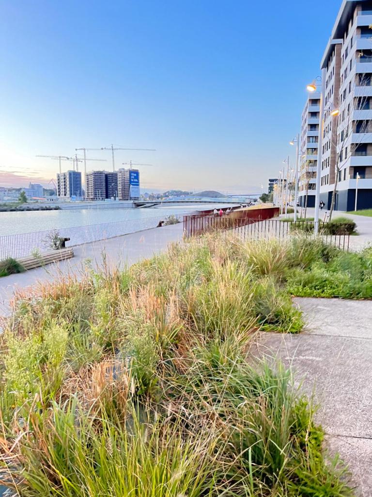 SMALL LUX BEACHCITY FREE PICK UP AIRPORT,CLOSE METRO AND PARKINg photo 3