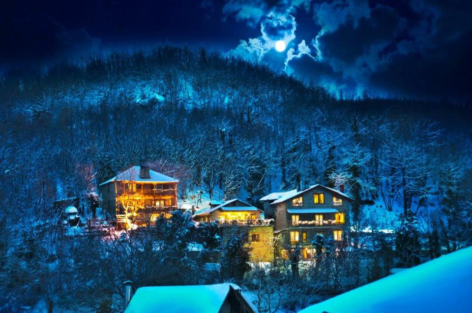 Lydia Lithos Mountain Resort photo 1