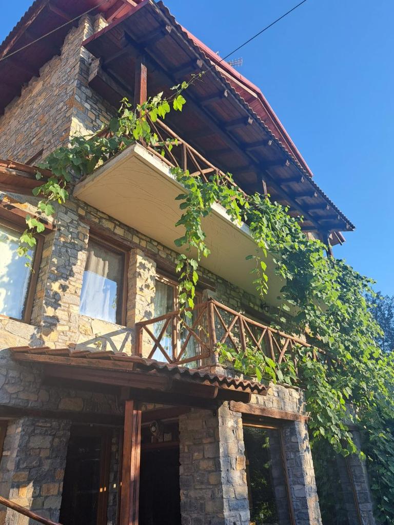 Lydia Lithos Mountain Resort photo 2