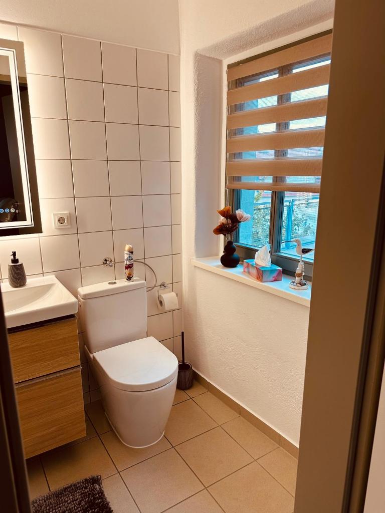 Apartment Altstadt Freiberg photo 3