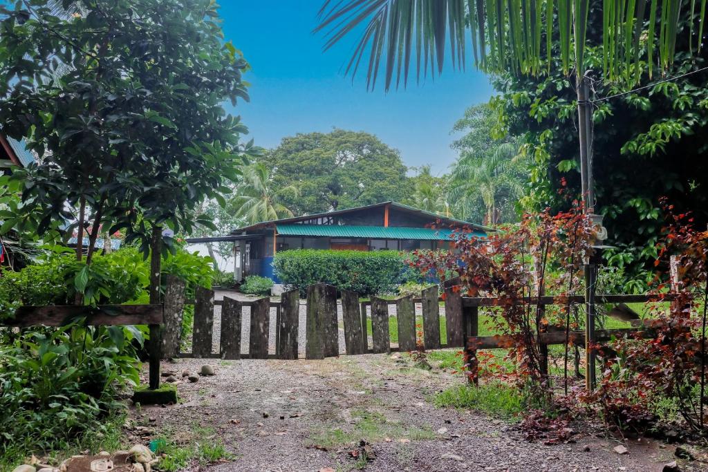 Casa Beluga photo 1