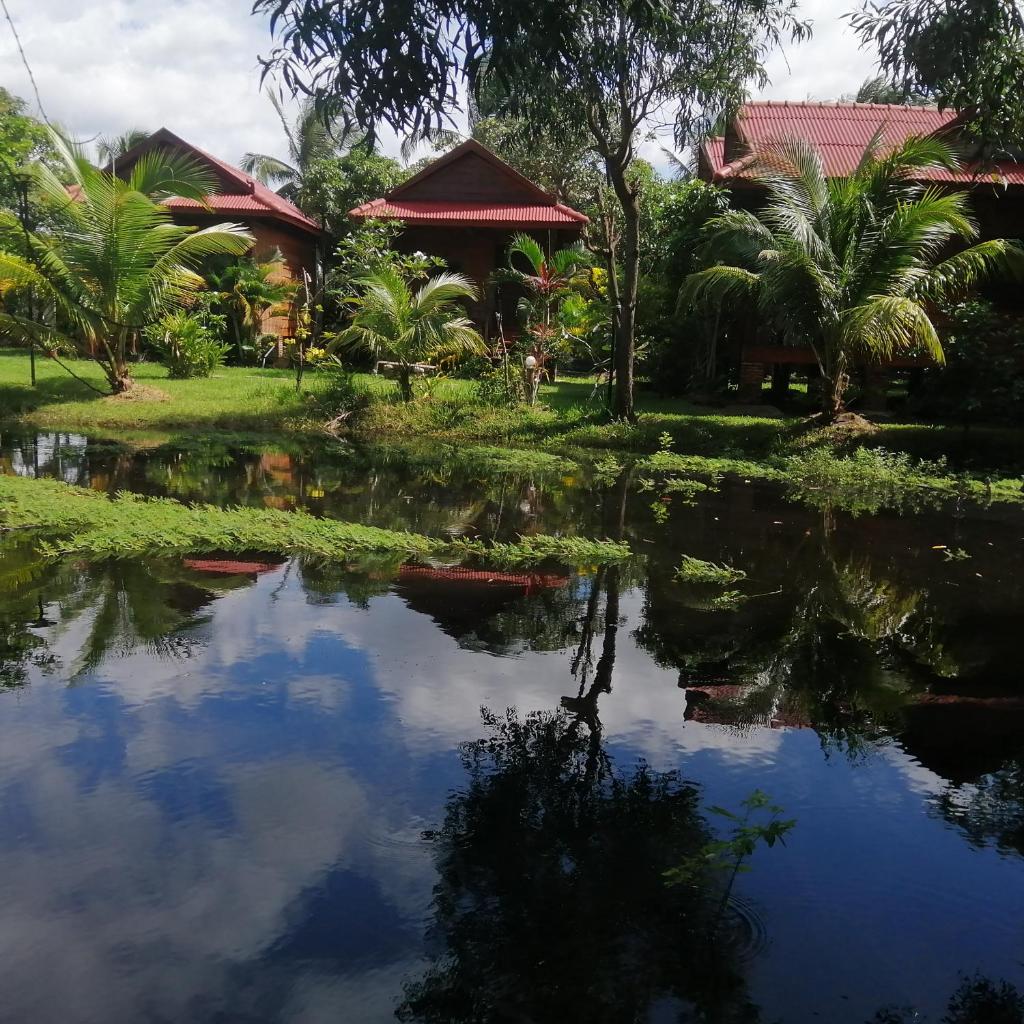 The Hidden Oasis Bungalows photo 4
