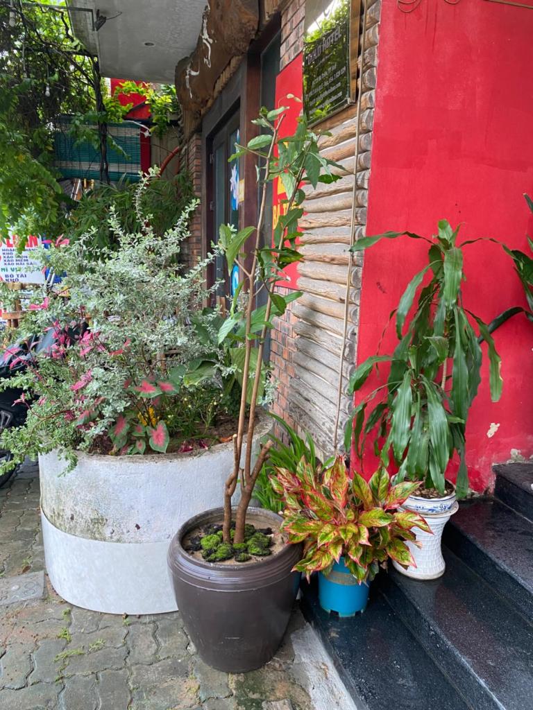 Little Gold Hue boutique hotel