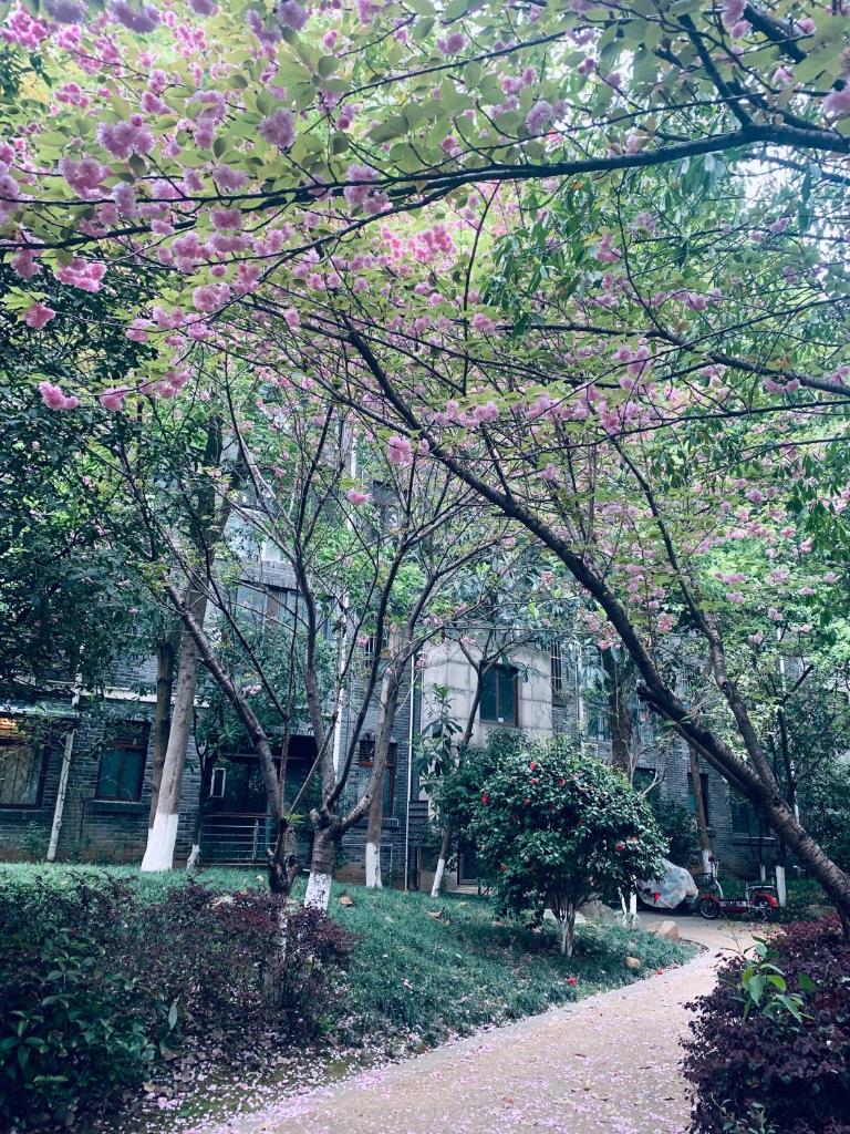 Gorgeous apartment with private backyard photo 2