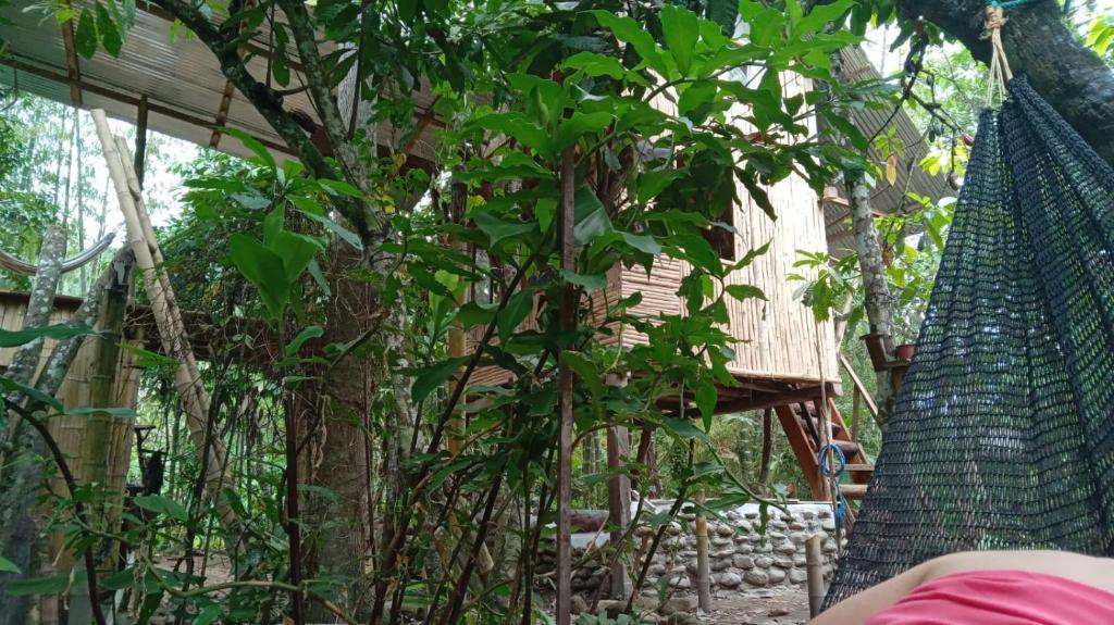 Centro Arte Terapéutico San Isidro Glamping photo 4