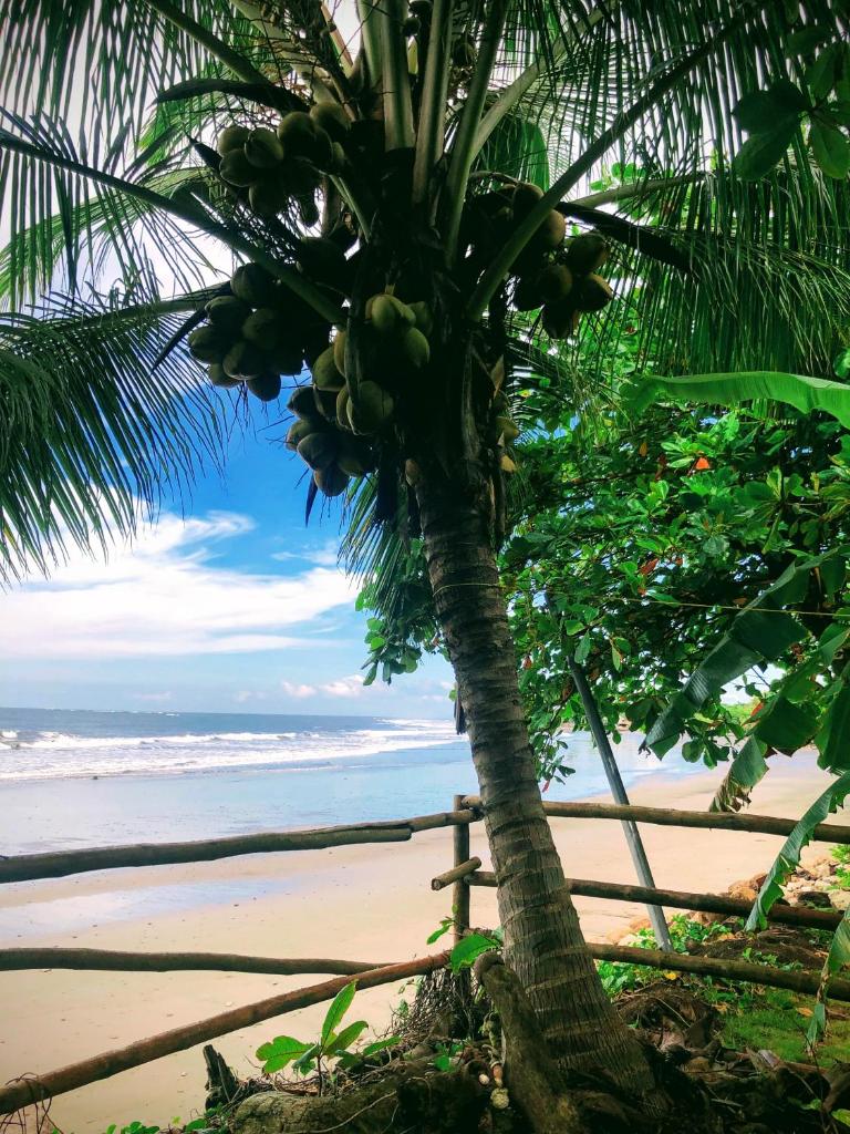 El Marabu Surf Resort photo 4