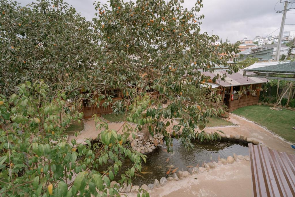 Mơ Garden Retreat DaLat