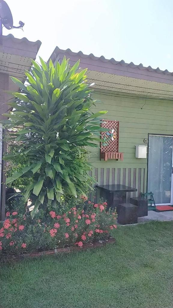 Bansuan Inthanon resort -Classic House photo 1