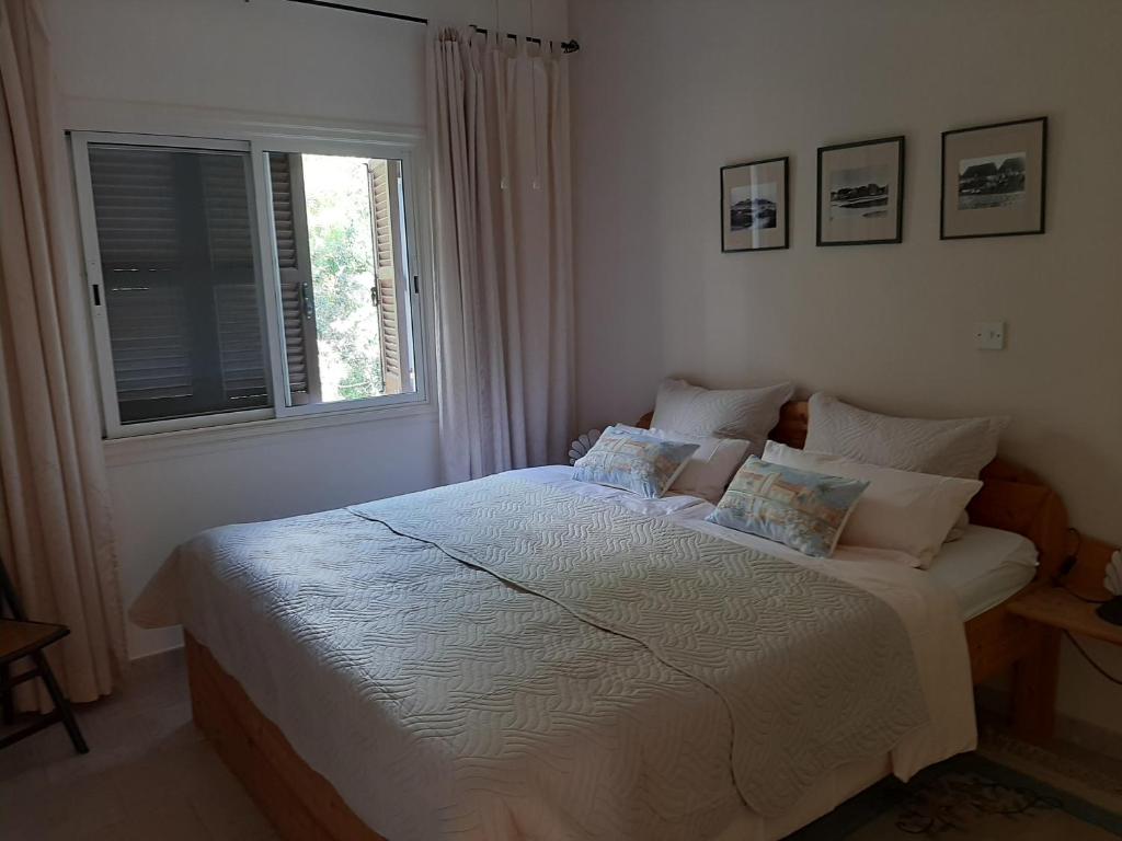 Limnaria Deluxe Maisonette photo 4
