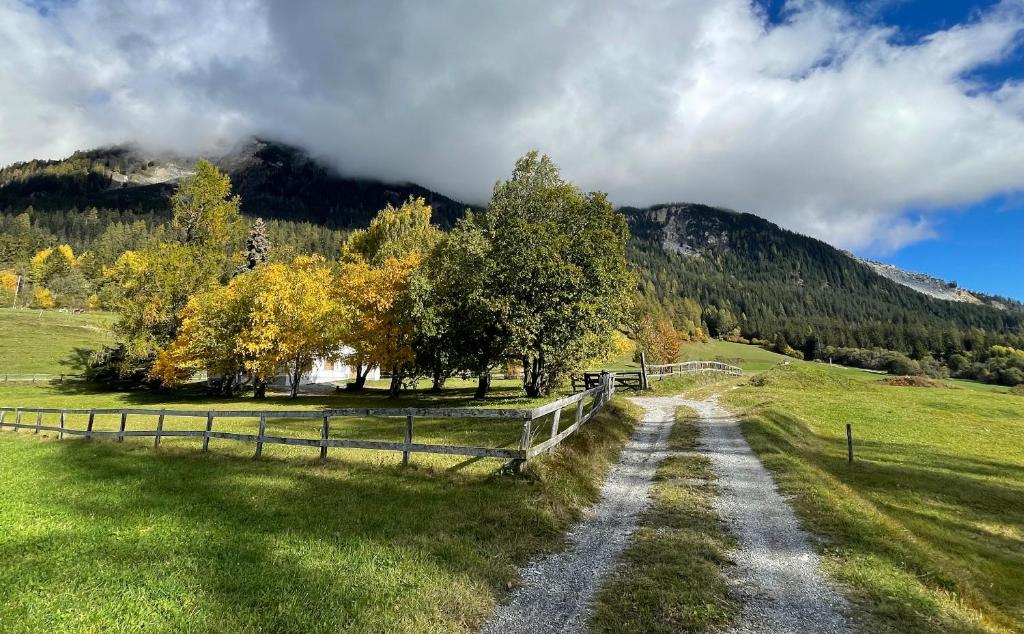 Ferienhaus mit Garten Tgease Schilendra-Lantsch-Lenz-Lenzerheide photo 4