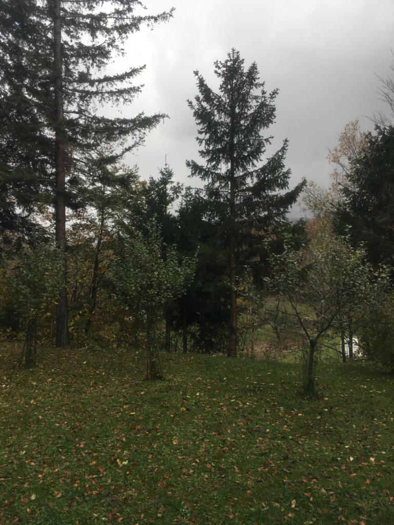 Apartmaji Velikonja photo 1