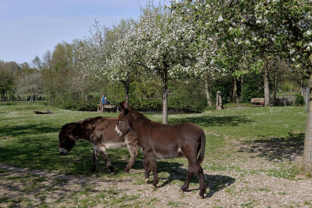Grijzegraaf vakantiewoning Voerstreek