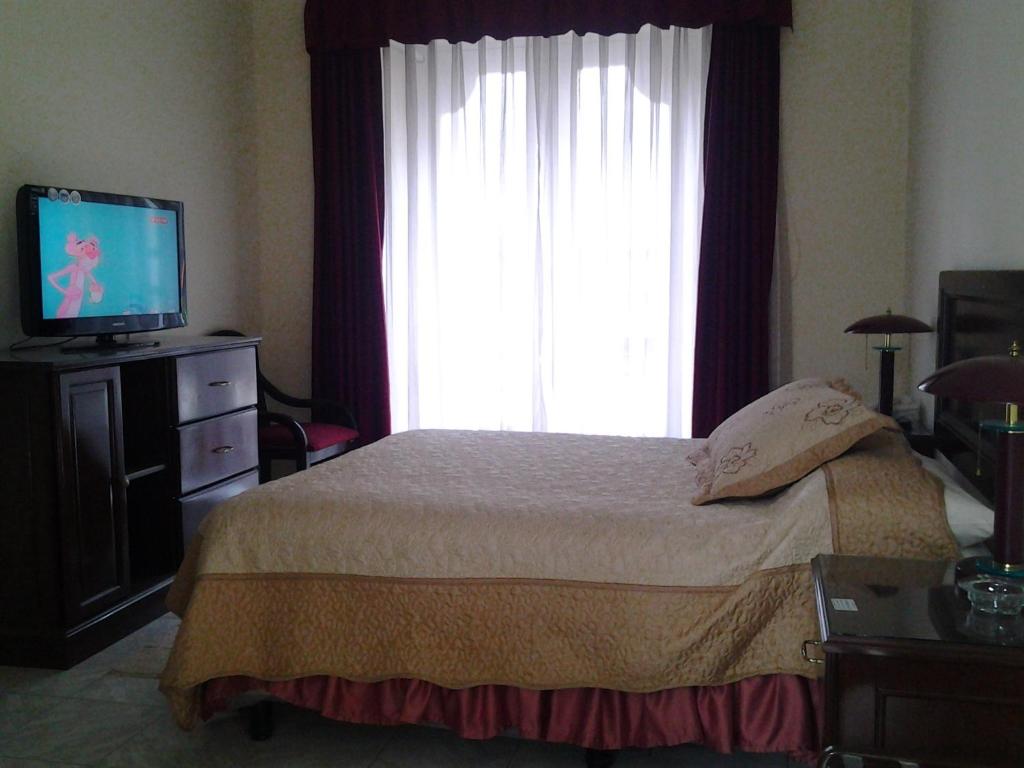 Luz Palace Hotel photo 4