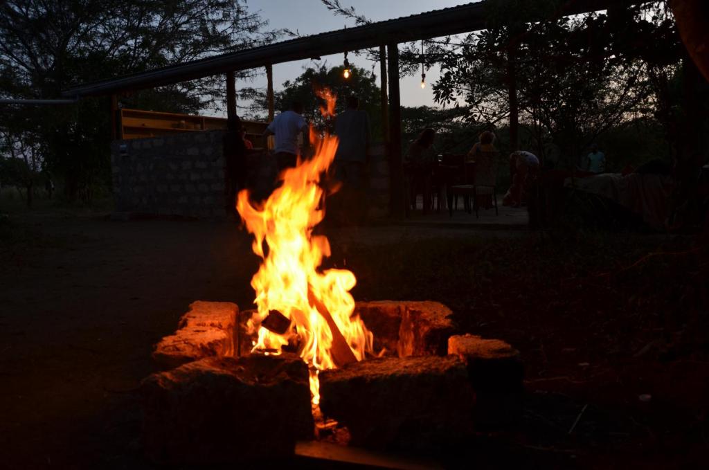 Arcadia East Africa Bush Camp photo 2