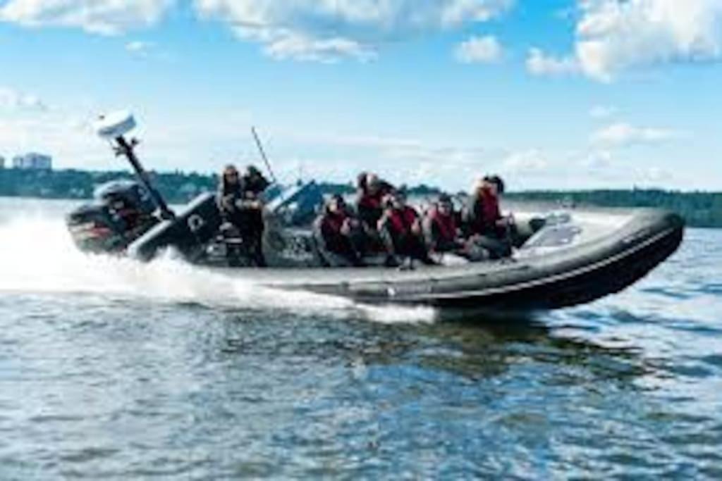 Havsnära Motorbåt 12 Cyklar 18+Beds VedBastu Hav! photo 3