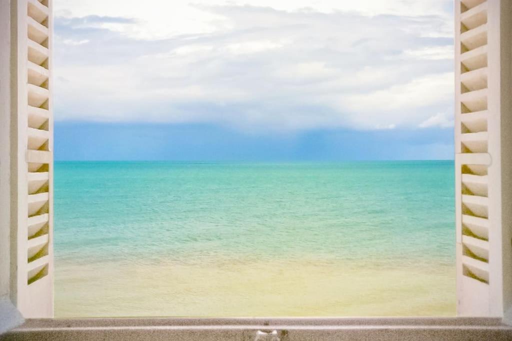 La BALEINE BLEUE photo 3