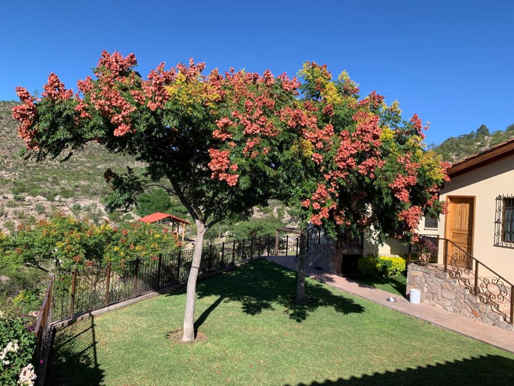 Villa Campestre La Soledad photo 3