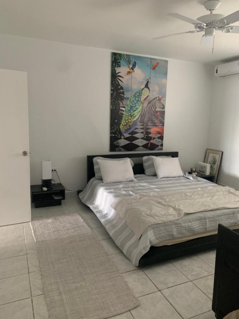 Cupecoy lagoon duplex photo 3