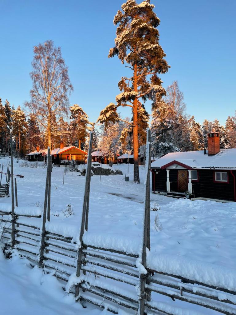 Siljansnäs Stugby & Resort photo 3