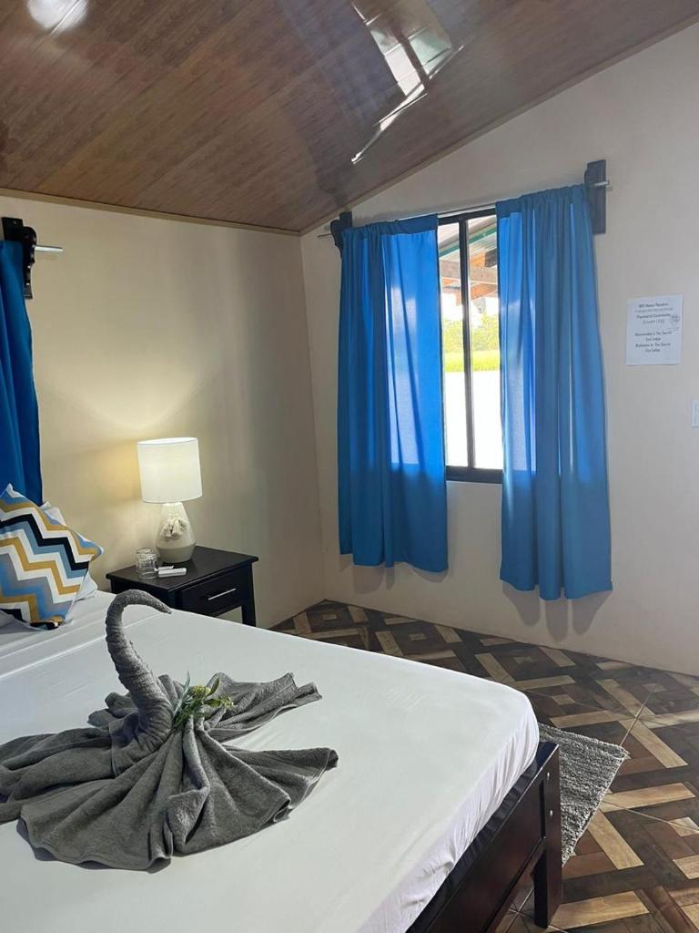 The Secret Eco Lodge photo 4