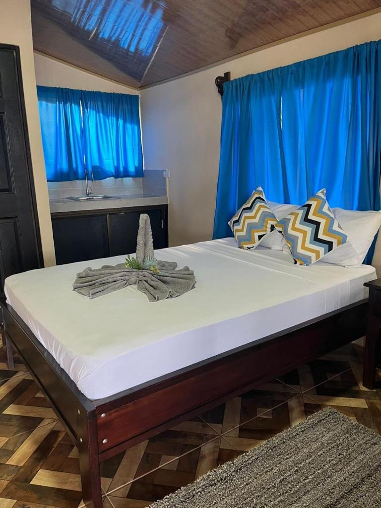 The Secret Eco Lodge photo 3