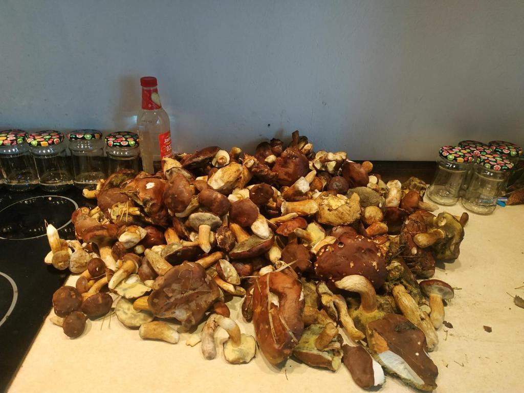 Wiosna nad jeziorem, grill, ognisko photo 1
