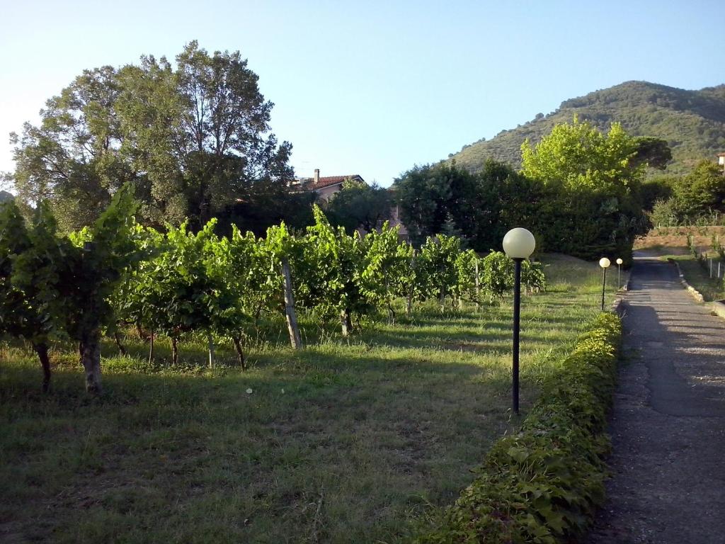 Canal di Bocco villa tra 5 terre e Versilia photo 3