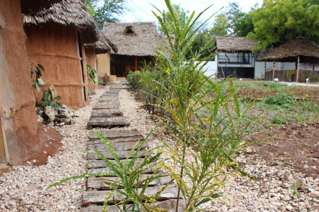 Zanzigo photo 2