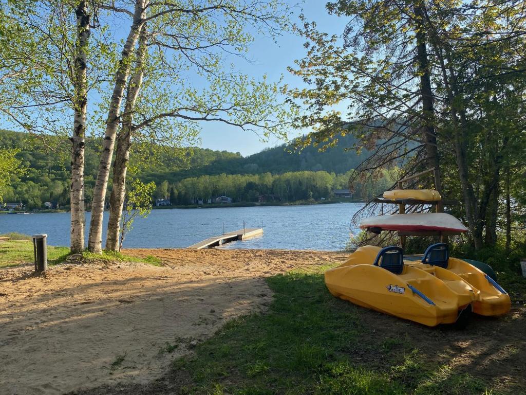 Chalet/SPA l'Oasis avec plage privée, bord du lac! photo 3