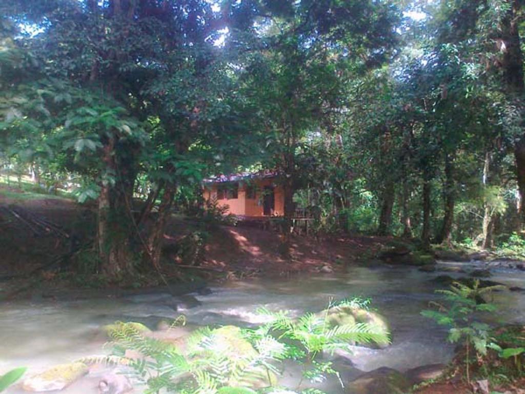 Vanilla Jungle Lodge - Rainforest Waterfall Garden photo 4