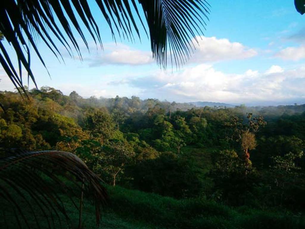 Vanilla Jungle Lodge - Rainforest Waterfall Garden photo 3