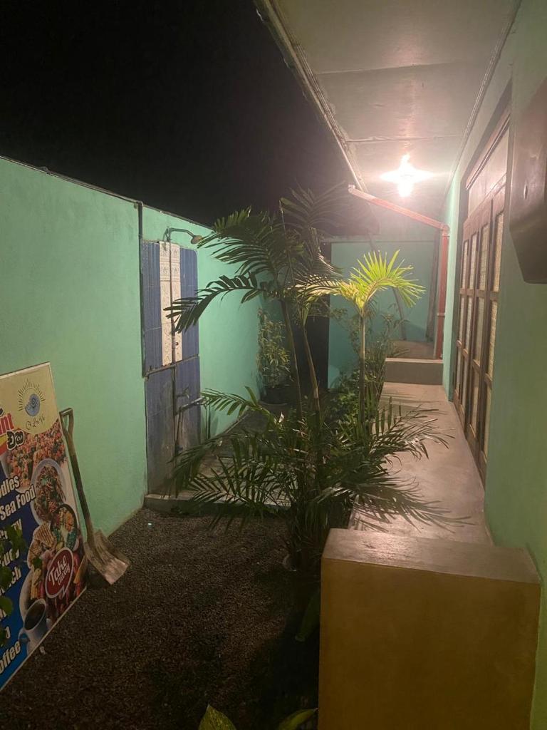 Cé Lon Vie Café & Hostel photo 1