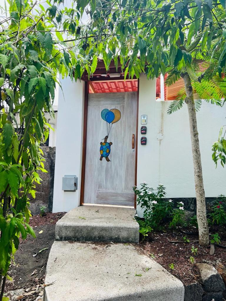 GALÁPAGOS UP SUITES photo 4