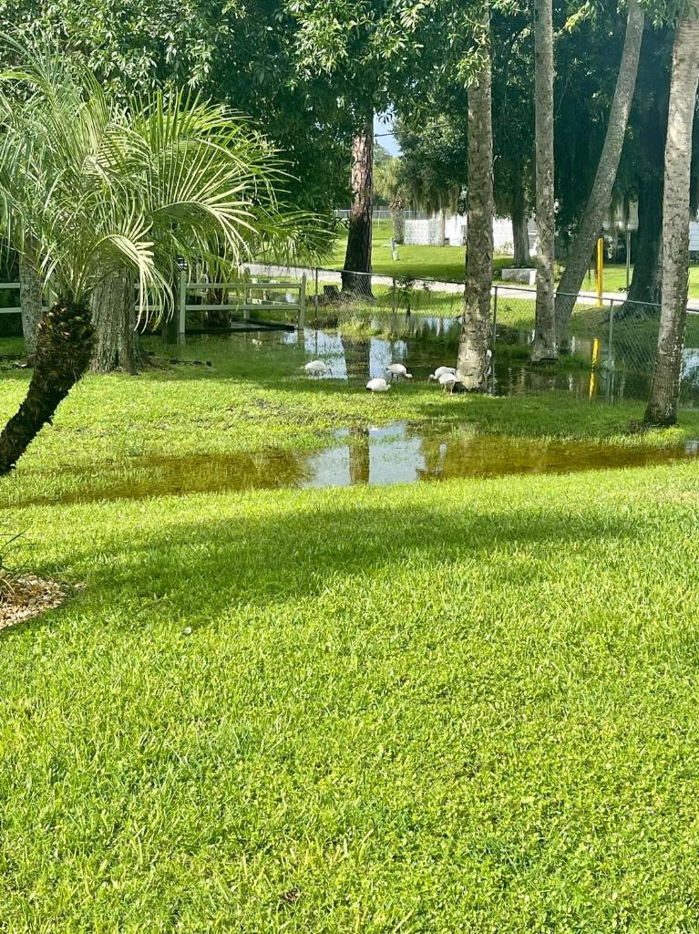 Sunny Oasis Getaway -Heated Pool-Mini Golf-Near Beach photo 1