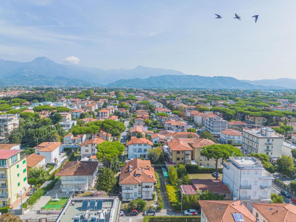Apartment Dei Fiori by Interhome photo 3