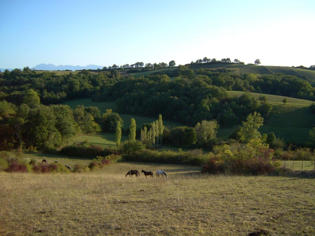 Panorama Gîtes Certes photo 4