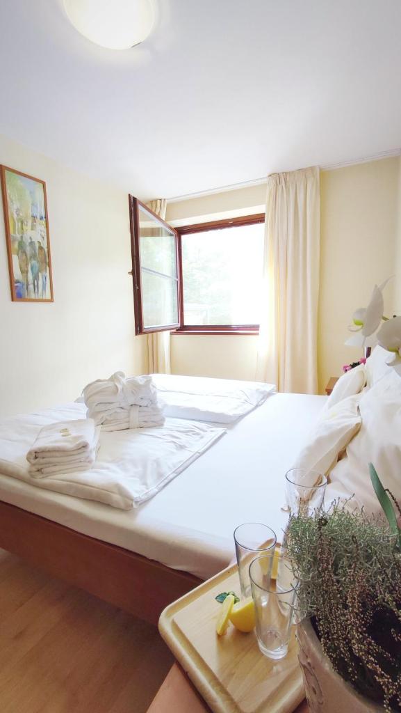 Wellness Hotel Ambra photo 1