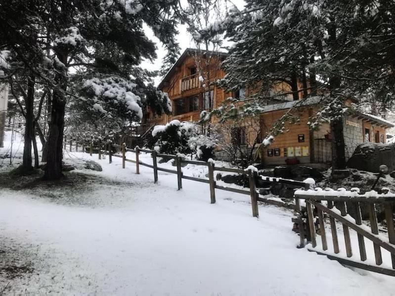Chalet Pomme de Pin photo 4
