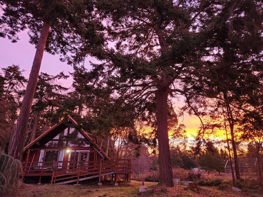 Rustic A-Frame hot tub retreat near Deception Pass