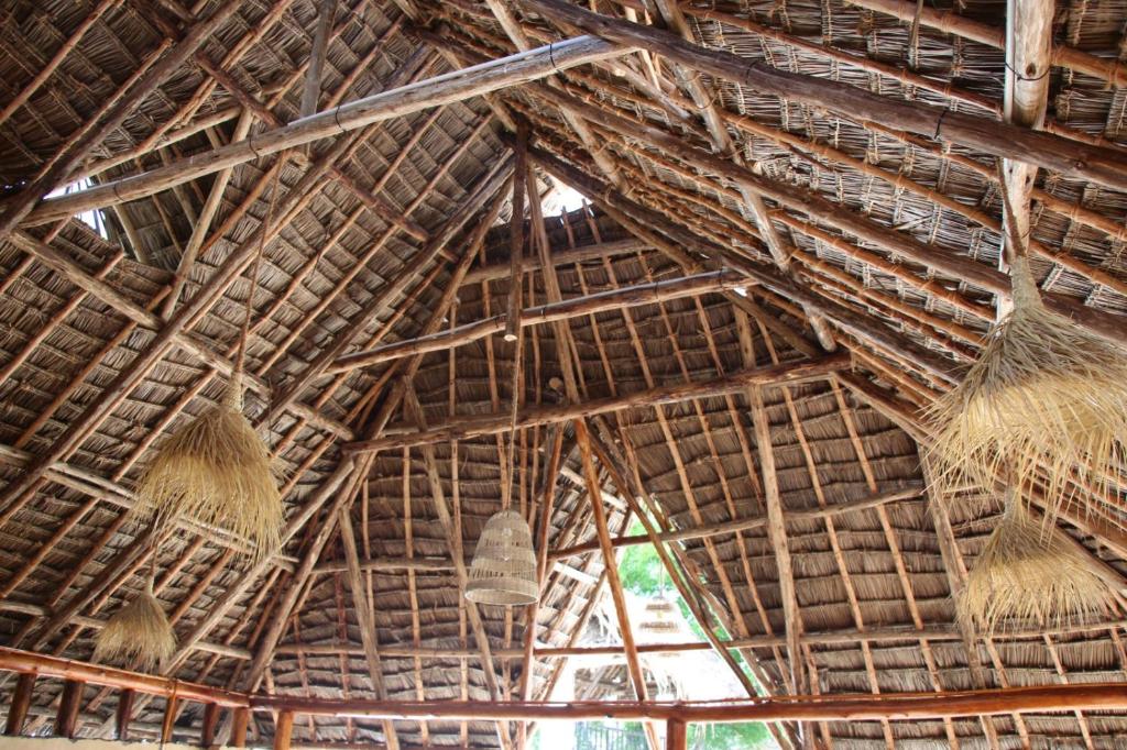 Zanzigo photo 4