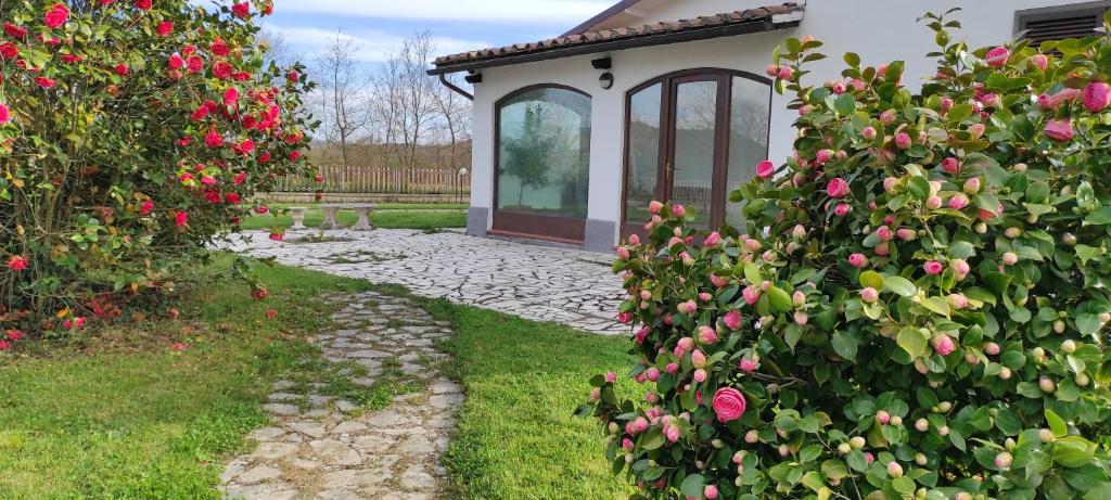 B&B Villa Magnolia photo 3