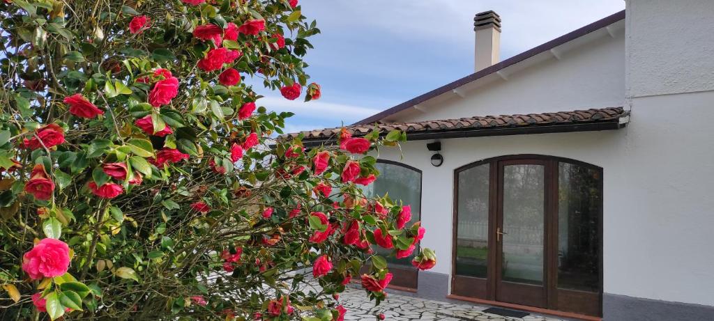 B&B Villa Magnolia photo 4