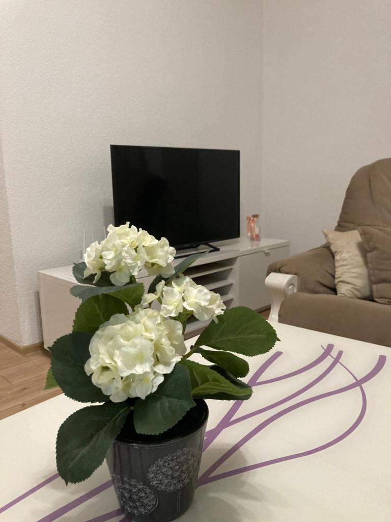 Apartman Palac photo 4