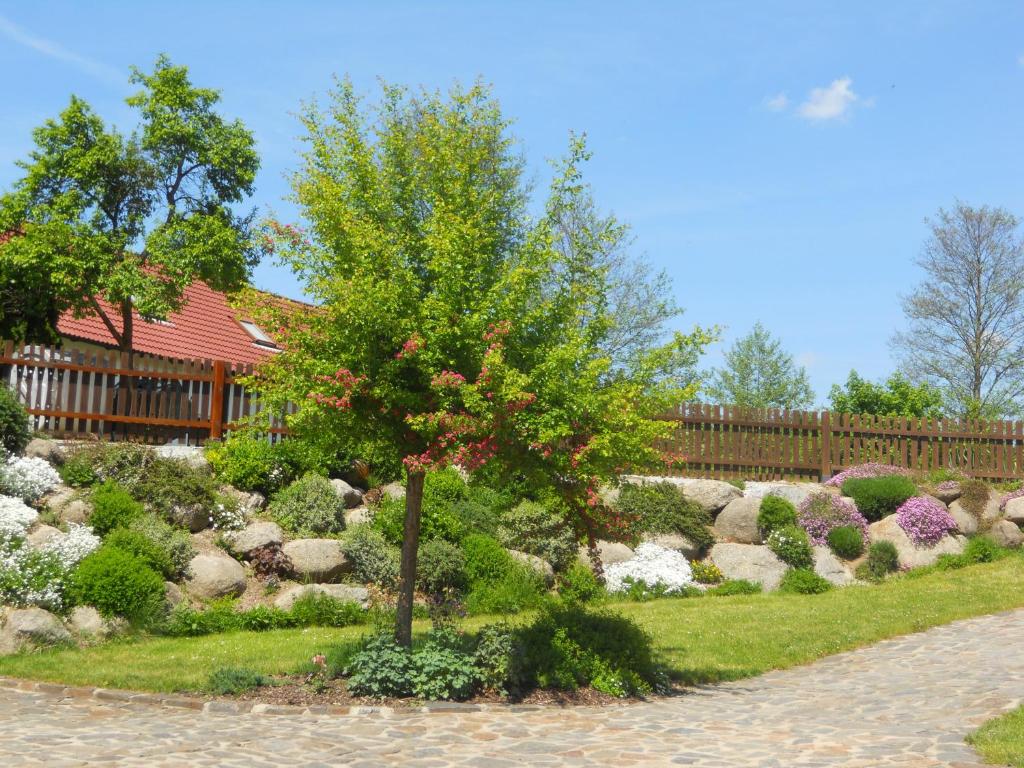 Mlýn Kamenice photo 4