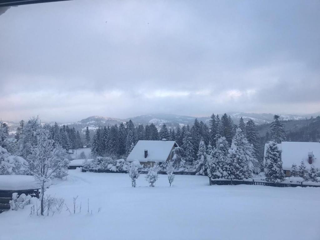 Góralski domek na szczycie photo 3