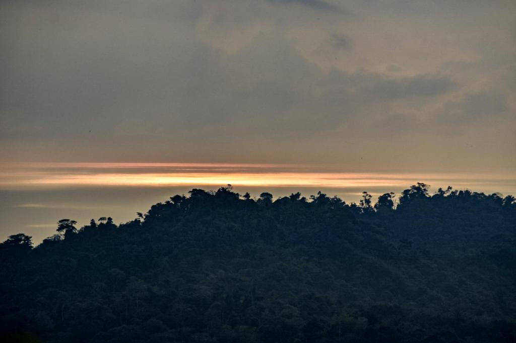 Taorayiná nature lodge- immersed in the forest photo 3