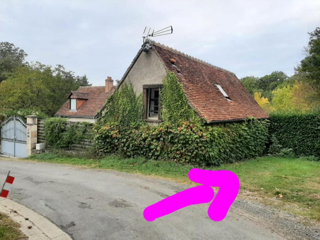 Gîte des châteaux de la Loire photo 4